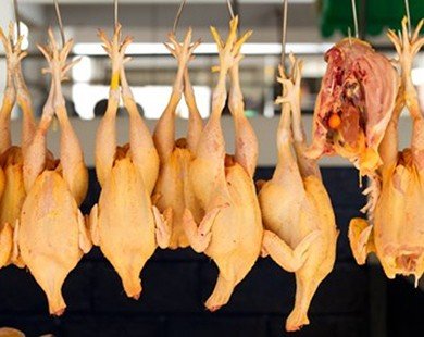 Cuba sẽ nhập khẩu trở lại ít nhất 13.000 tấn thịt gà từ Mỹ