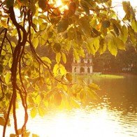 Chiêm ngưỡng Hà Nội thơ mộng, óng vàng chiều thu