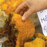 800.000 đồng/kg mật ong hóa đá bán tại Hà Nội