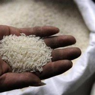 Thực hư dây chuyền sản xuất “gạo nhựa” trên Internet