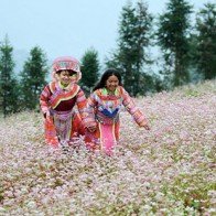 Những điểm đến thú vị cho người phụ nữ của bạn dịp 20/10