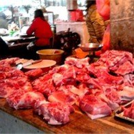 Hoảng sợ lợn được cho ăn đủ loại chất cấm