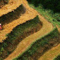Những hình ảnh bình dị của cuộc sống Tây Bắc