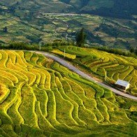 Ruộng bậc thang Y Tý được xếp hạng Di tích quốc gia danh lam thắng cảnh