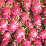 Cách chọn thanh long tươi ngon