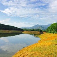 Vẻ đẹp hoang sơ của hồ Hoà Trung - thảo nguyên cỏ vàng Đà Nẵng