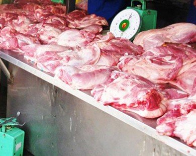 Phát hiện lợn, gà nhiễm khuẩn Salmonella tại Hà Nội, TP.HCM