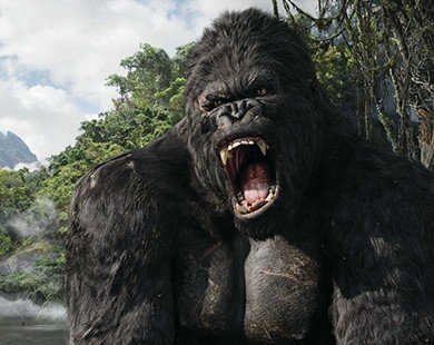 ‘King Kong’ phần mới chính thức quay tại Việt Nam