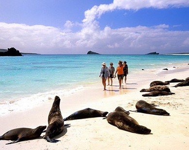 Khám phá vẻ đẹp quần đảo Galapagos