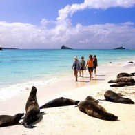 Khám phá vẻ đẹp quần đảo Galapagos