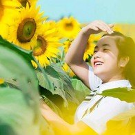 Tháng 11 tìm về cánh đồng hoa hướng dương