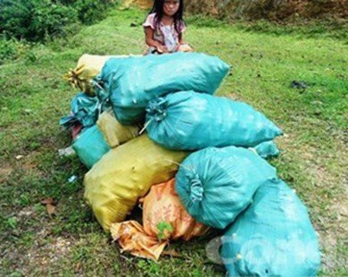 Thanh Hóa: Nông dân bị băng nhóm ép bán nông sản giá rẻ
