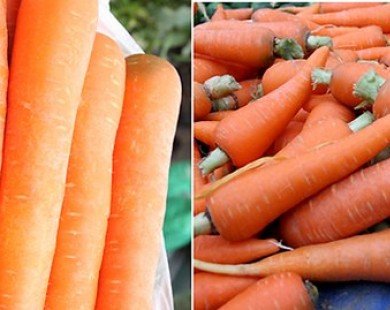 Phân biệt gừng, cà rốt Việt Nam - Trung Quốc để dùng không hại