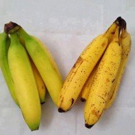 Cách nhận biết chuối chín bằng thuốc diệt cỏ