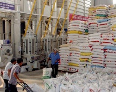 Hợp đồng xuất khẩu gạo tháng 10 cao nhất từ trước đến nay