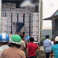 Thương lái Trung Quốc thao túng thị trường thanh long: Ruột Việt, vỏ Trung