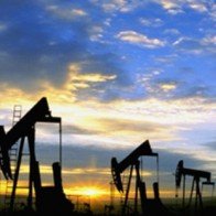 Giá dầu không ngừng sụt giảm