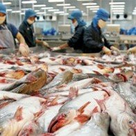 Gạo và thủy sản Việt Nam cần làm gì để đón cơ hội từ TPP?