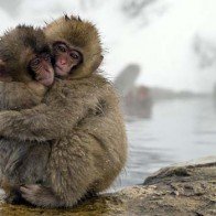 Đừng bao giờ trách móc bất kỳ ai trong cuộc sống của bạn