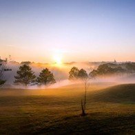 Đà Lạt huyền ảo trong sương sớm