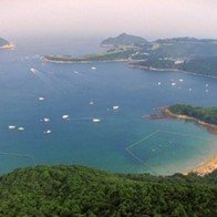 Bạn sẽ ‘phải lòng’ với du lịch Hong Kong sau khi xem xong clip này