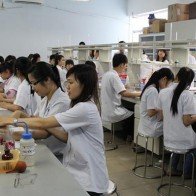 'Trang mới' của đào tạo Y dược?