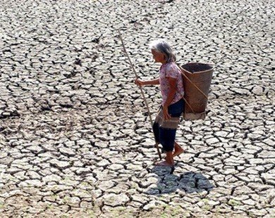 Việt Nam có nguy cơ giảm điểm xếp hạng tín dụng do biến đổi khí hậu