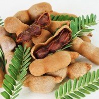 Bị những bệnh sau chỉ cần ăn quả me là khỏi