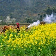 10 điểm du lịch các cô gái nên đến trước khi lấy chồng