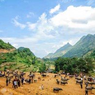 Tây Bắc đăng cai tổ chức năm du lịch quốc gia 2017