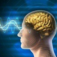 Bức xạ điện thoại có thể gây ung thư não