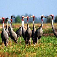 Những vườn quốc gia nổi tiếng đẹp nhất Việt Nam