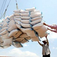 XK gạo có thể đạt trên 6,5 triệu tấn