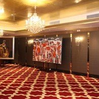 Triển lãm nghệ thuật Genesis nhân dịp khai trương Khách sạn Apricot