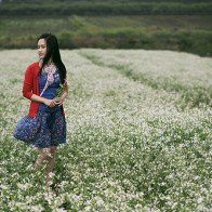 Những địa điểm chụp ảnh Tết dương lịch tuyệt đẹp ở miền Bắc