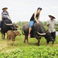 Năm đầu tiên trong 6 năm khách quốc tế đến VN giảm