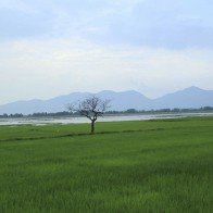 Ba ngày khám phá An Giang dịp năm mới