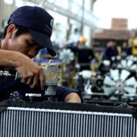 Cá chết trắng ao ở Long An