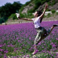Ngây ngất với sắc tím của cánh đồng oải hương khắp thế giới