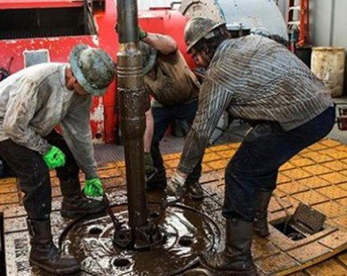 Giá dầu giảm xuống mức thấp nhất trong 12 năm