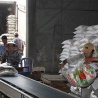 Xuất khẩu gạo khởi sắc đầu năm 2016