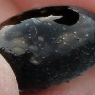 "Quả trứng lạ" bắn ra từ núi lửa Hawaii phun trào