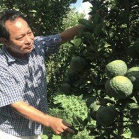 Siêu tỉ phú nông dân