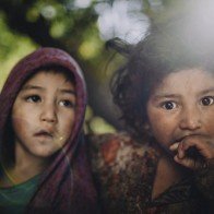 Himalaya, sức sống nơi "Nóc nhà thế giới"