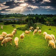 10 điểm du lịch Việt Nam hot nhất trong năm 2016