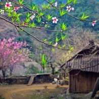 Tây Bắc đẹp mơ màng qua góc ảnh của chàng trai Hà thành