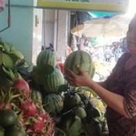 Giá rớt thê thảm, nông dân chặt bỏ thanh long