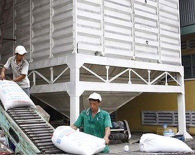 Tháng Một, xuất khẩu gạo tăng mạnh cả về lượng và giá trị