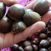 Hàng Trung Quốc đội lốt đặc sản Việt tăng dịp Tết