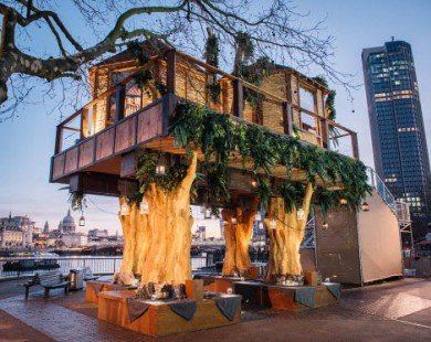 Ngôi nhà trên cây giữa thành phố London